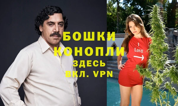 Альфа ПВП Касимов
